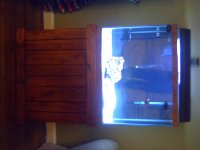 fishtank 2007 011.jpg