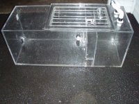 P3040076 [600x400].JPG