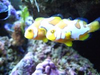 IMG_0663.JPG