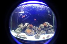 DSC_7790.JPG DSC_7790.JPG