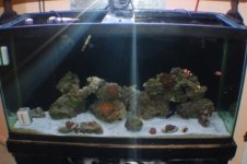 DSC_7784.JPG DSC_7784.JPG