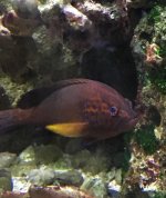 IMG_4915.jpg