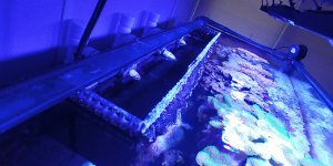 0623201626_HDR.jpg