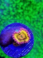 IMG_20200627_223443887.jpg IMG_20200627_223443887.jpg