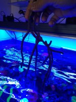 IMG_20200628_105556014.jpg IMG_20200628_105556014.jpg