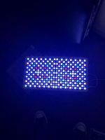E2E5561A-4DB8-4B15-8ADC-E1A0F43C712E.jpeg