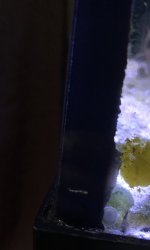682C8915-0918-41E1-B863-407B1523C47E.jpeg