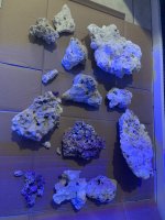 AD6DAEBA-79A6-4030-BDA4-786F3EF1F748.jpeg