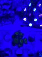 DDAC1382-F4C2-4F0B-8DED-4A96F3B5BFE9.jpeg