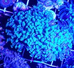 IMG_20200713_214521_118.jpg