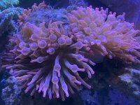 054FE408-57BE-4C6A-89EC-FDBB27A493F0.jpeg