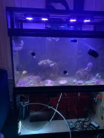 20F56160-7FBF-4794-98A0-0F19A3D91292.jpeg