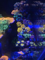11796602-D50C-4A1F-A7BB-50E1A4BCA9CD.jpeg
