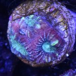 DSC_2689.JPG