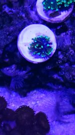 20200724_181556.jpg