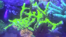 20200801_172111.jpg
