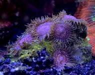 IMG_1414.JPG