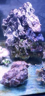 20200803_183238.jpg