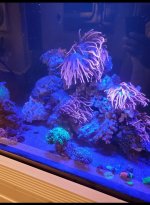 20200805_222940.jpg