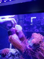 20200806_165352.jpg