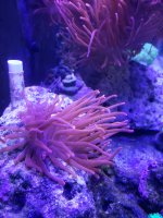 20200807_113936.jpg
