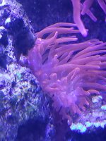 20200807_114026.jpg