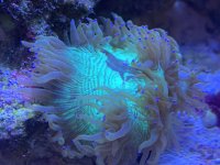 BFA23ED6-2828-4603-A213-8C8DF5154F48.jpeg