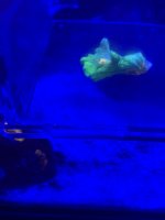 06D36A5B-DA46-46BA-B451-9D6E81B92E56.jpeg