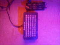 IMG_20200808_180625.jpg
