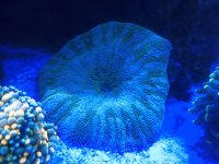 IMG_6101.jpeg