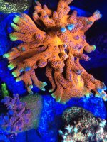 0D2C6493-9BEE-4A5D-B2F2-9BA96FB5BE77.jpeg