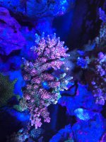 113163F9-E809-4FB4-A3BA-DFB592D0D056.jpeg
