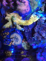 52288974-3847-4D58-81E0-2605CECF8AA5.jpeg