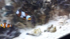 IMG-20200716-WA0036.jpg