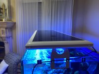 IMG_1293.jpg