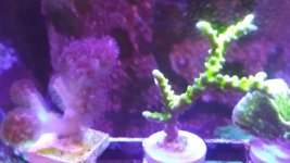 20200829_104435.jpg