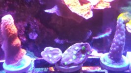 20200829_104536.jpg