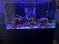 65 GAL.jpg