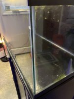 C597CC4C-29BB-4903-B818-969D0F51ECE6.jpeg