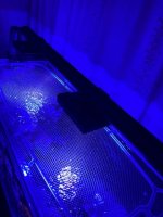 IMG_1478.jpg