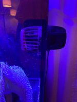 IMG_1479.jpg