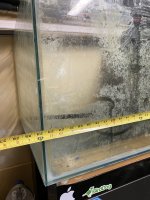 IMG_4183.jpeg