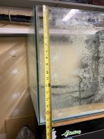 IMG_4184.jpeg