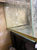IMG_4185.jpeg