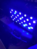 IMG_3200 2.jpeg