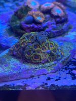 D2B60CE5-C15B-4AAA-A03D-738C0036DDDD.jpeg