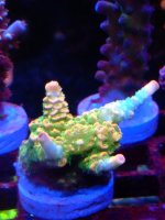 20200910_202244.jpg