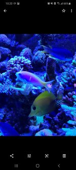 fish3.jpg