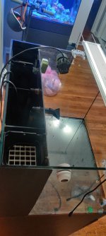 IMG_20200914_190135.jpg