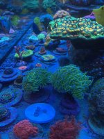 81F98553-51D0-4765-A140-0EDC26740081.jpeg